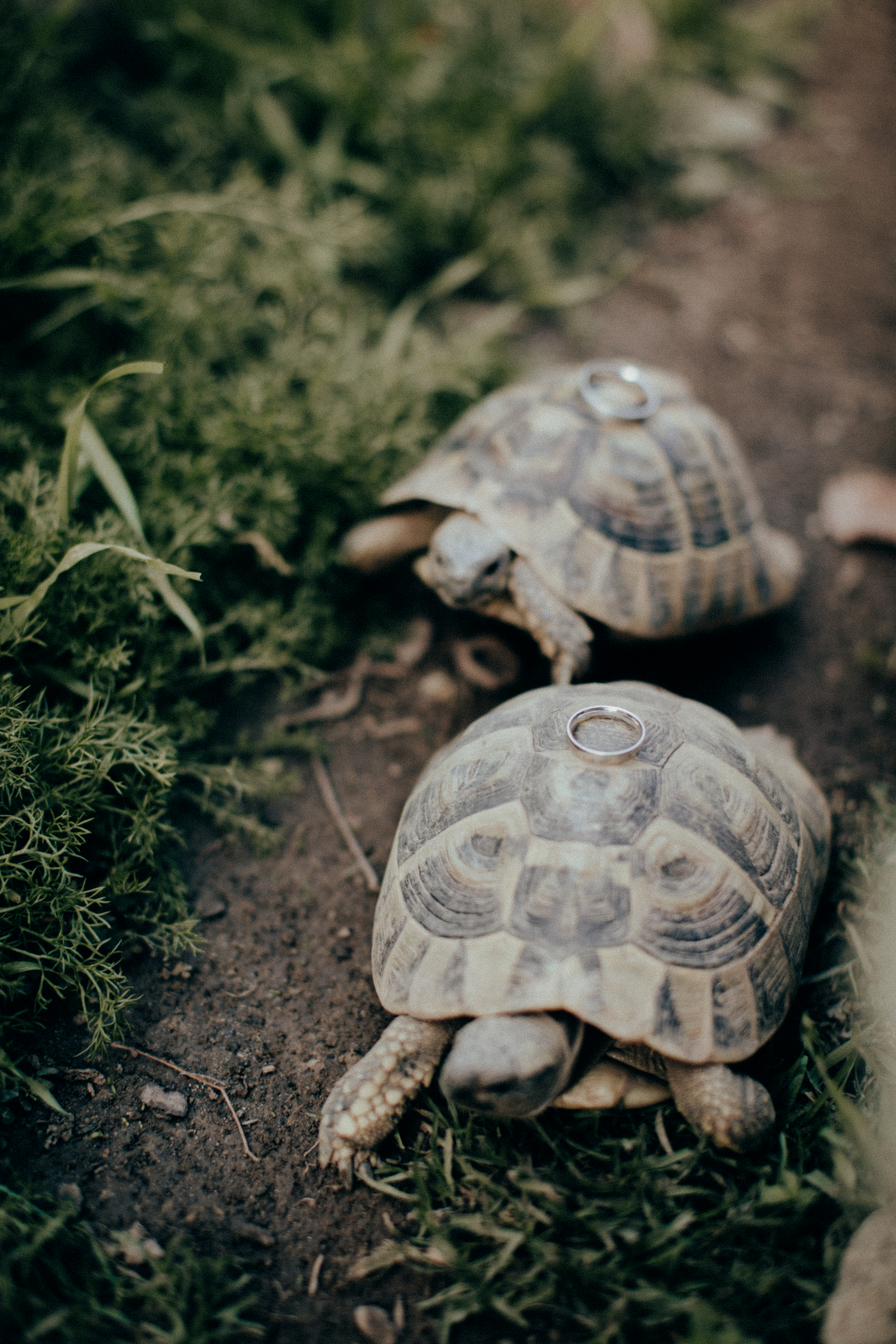 Hochzeitsfotograf NRW: Die Fotovideografin